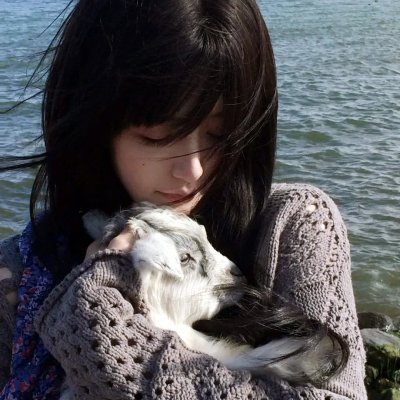 网美嬉游记